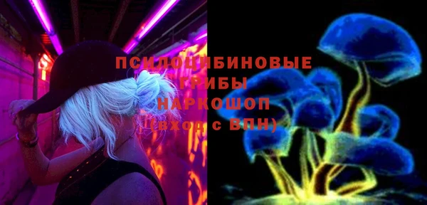 мдпв Верея
