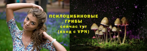 MDMA Premium VHQ Верхний Тагил