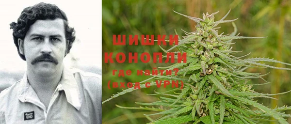 МДПВ Волоколамск