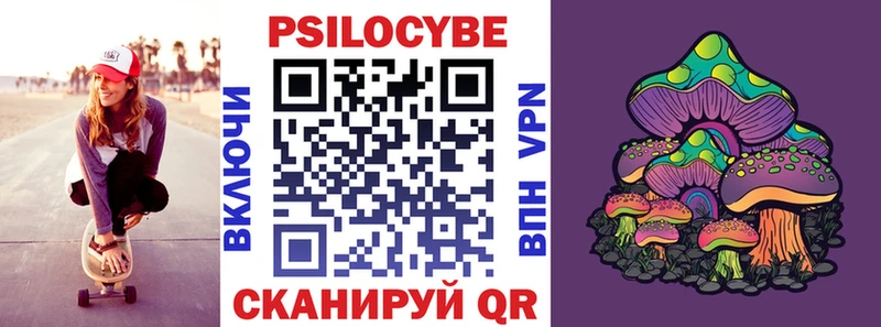 Псилоцибиновые грибы мицелий  Купить закладки  Кинель 